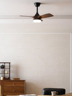 Silver Curve Ceiling Fan Light