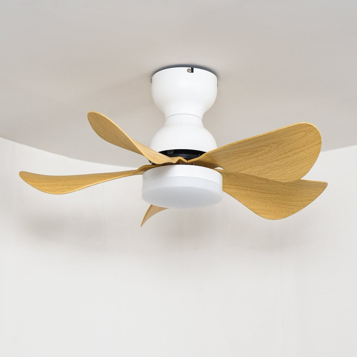 Small Arilia 29’’ Ceiling Fan Light Ceiling fan light