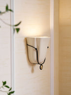 Solenne Shell Wall Sconce