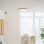 Soluna Ceiling Light