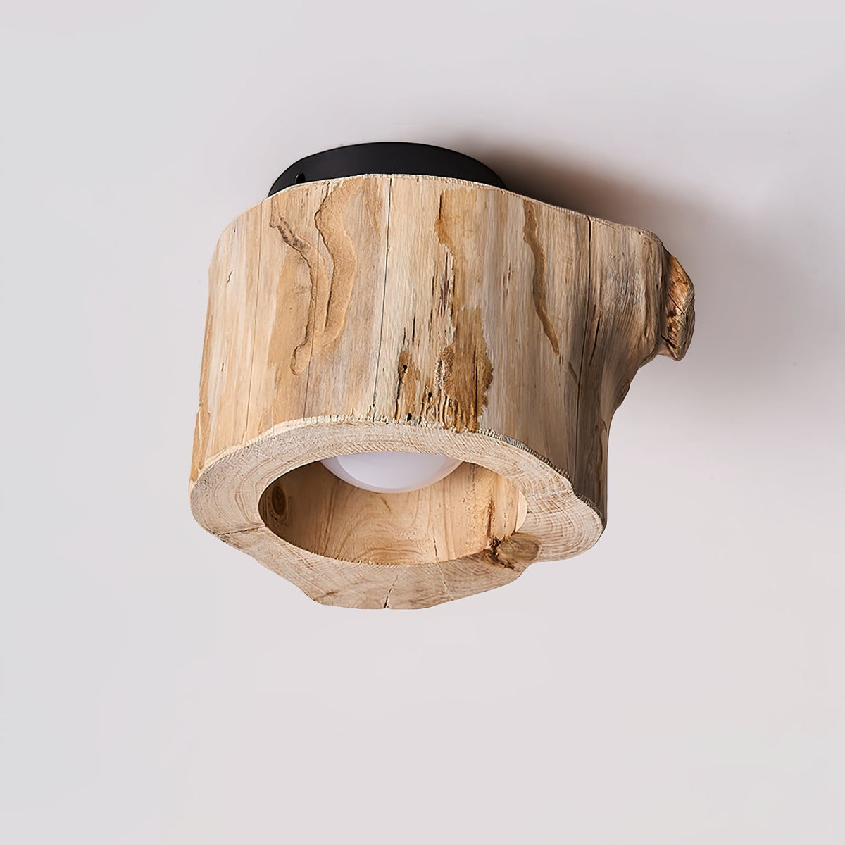 Tarn Hollow Ceiling Lamp