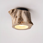 Tarn Hollow Ceiling Lamp