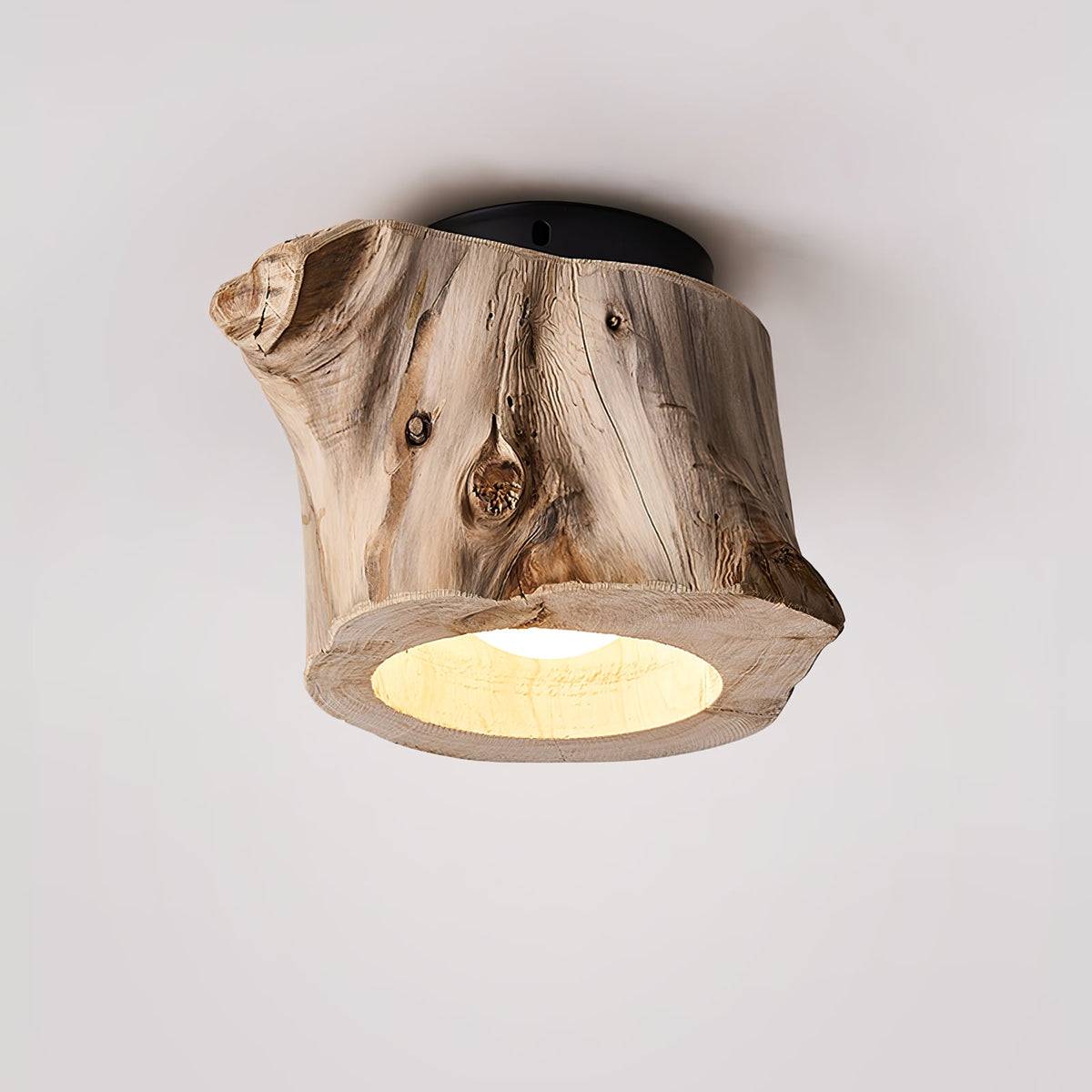 Tarn Hollow Ceiling Lamp