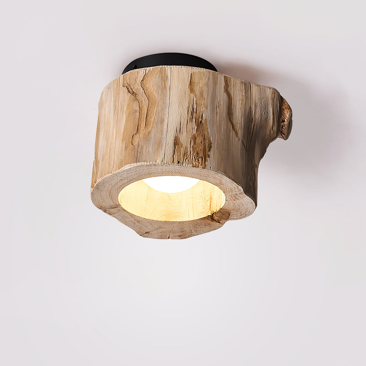 Tarn Hollow Ceiling Lamp