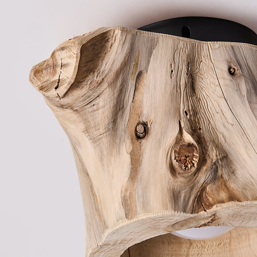 Tarn Hollow Ceiling Lamp