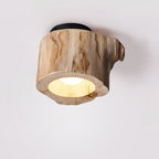 Tarn Hollow Ceiling Lamp