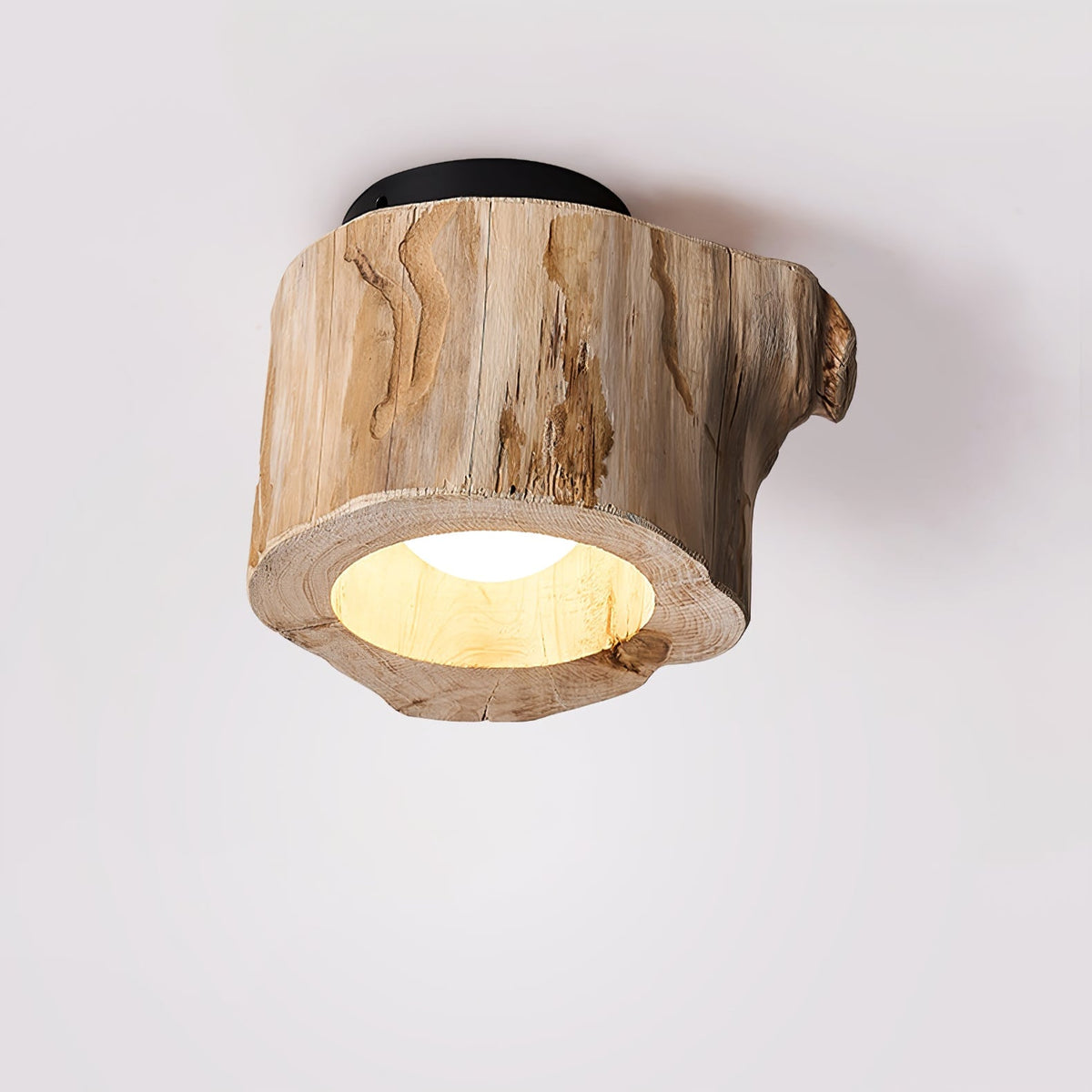 Tarn Hollow Ceiling Lamp