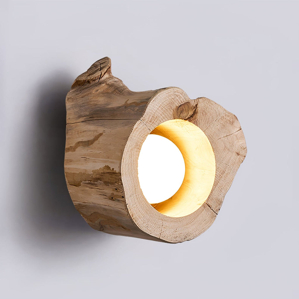 Tarn Hollow Ceiling Lamp