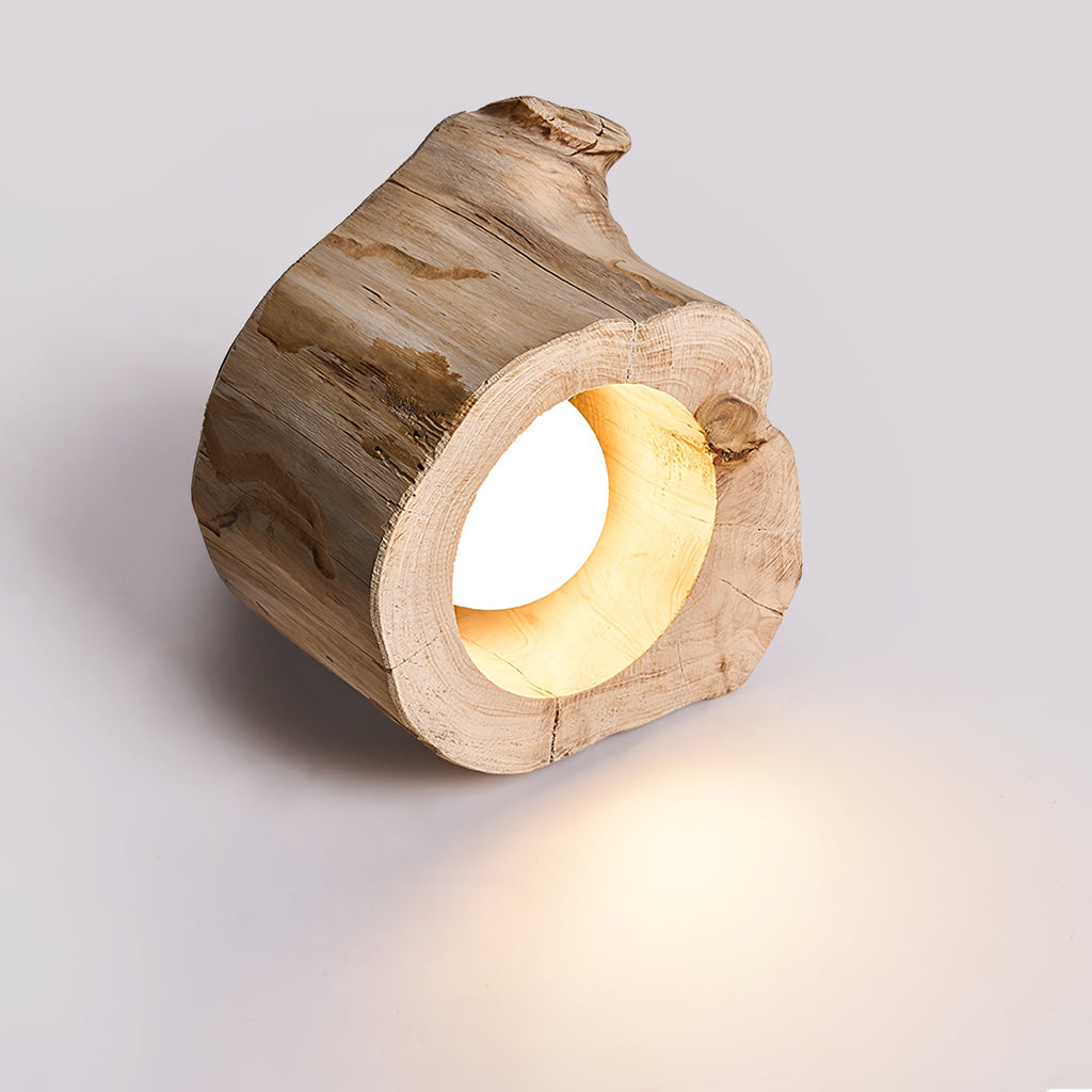 Tarn Hollow Ceiling Lamp