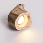 Tarn Hollow Ceiling Lamp