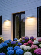 Tavrelle Micro-Cement Outdoor Wall Sconce