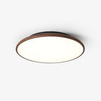 Thin Geometry Shape Ceiling Lamp Ceiling lamp