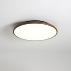 Thin Geometry Shape Ceiling Lamp Ceiling lamp