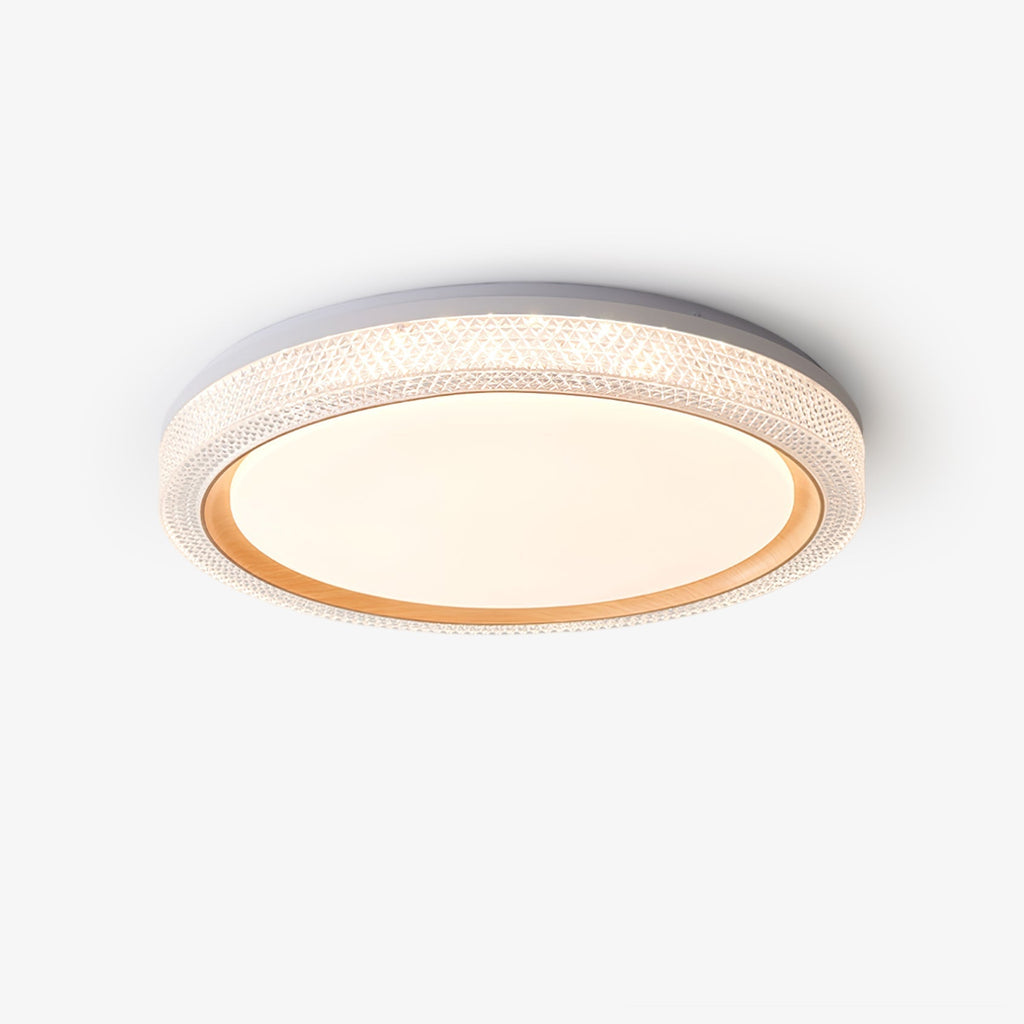 Thin Round Ceiling Lamp Ceiling lamp