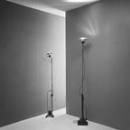 Reflector Floor Lamp