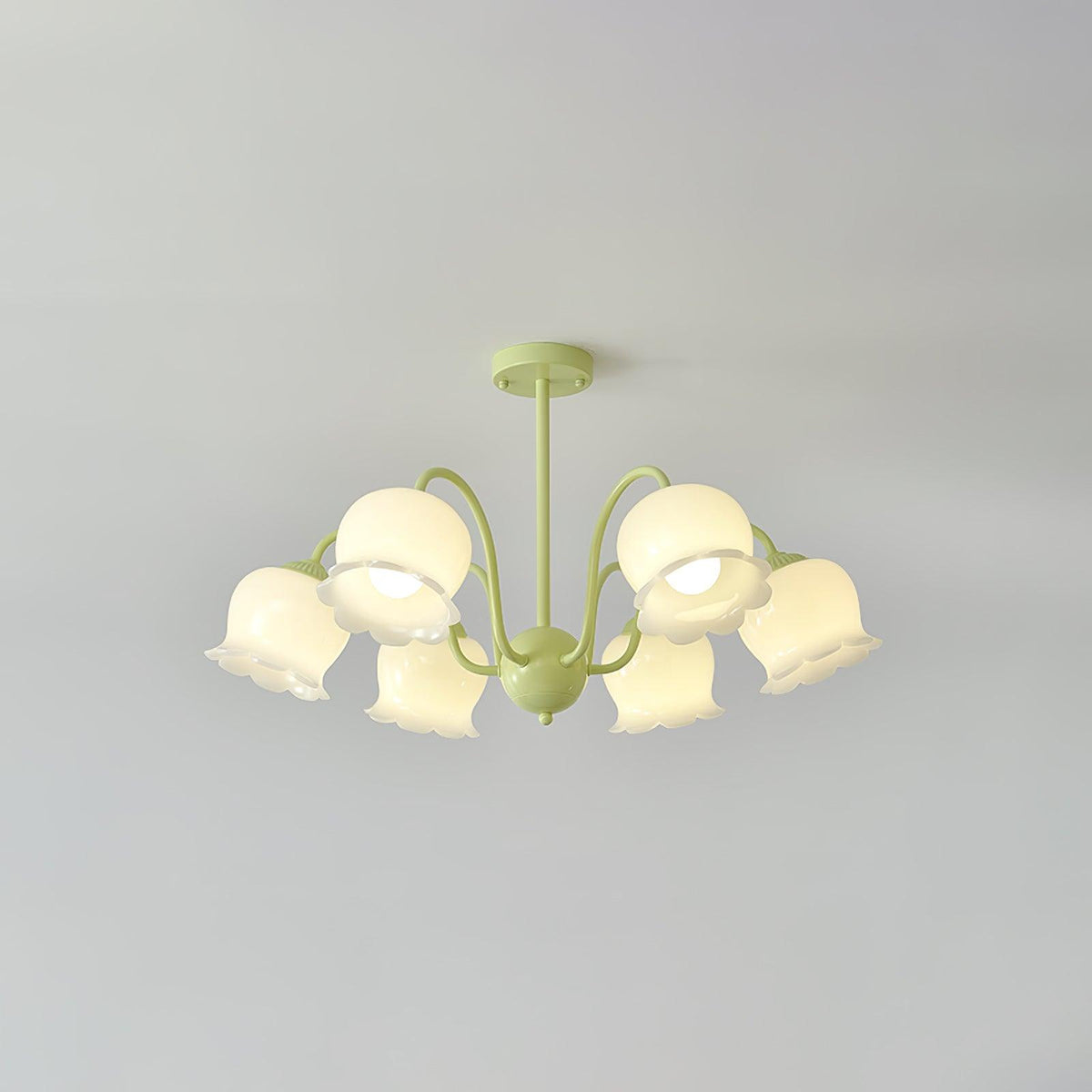 Trumpet Flower Chandelier Model B 6 heads ∅ 29.5″ x H 16.9″ / Dia 75cm x H 43cm / Green & White Chandelier