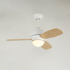 Vento Ceiling Fan Light
