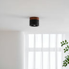 Volcanic Glow Ceiling Light
