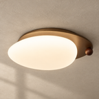 Wood Accent Ceiling Light