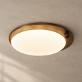 Wood Accent Ceiling Light