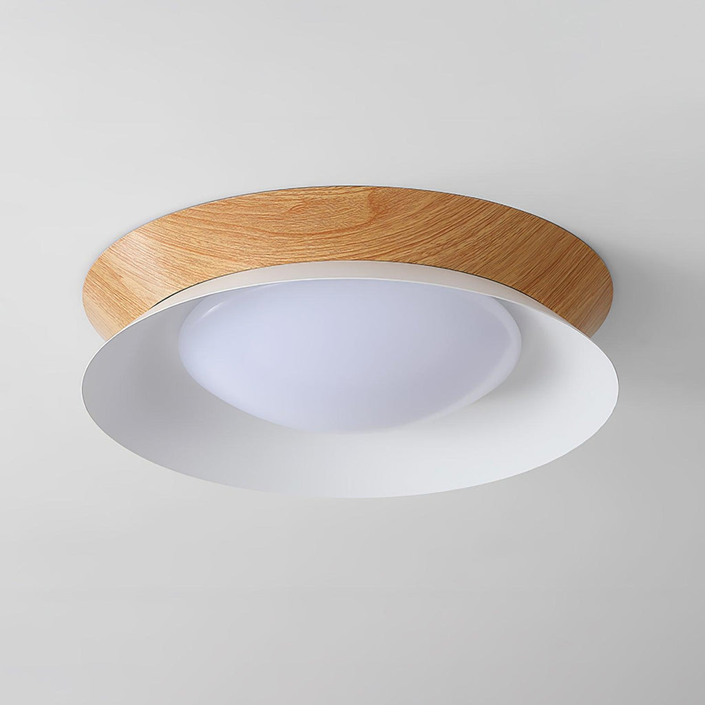 Double Half Round Ceiling Light Ceiling lamp