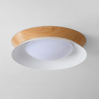 Double Half Round Ceiling Light Ceiling lamp