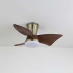 Zephyr Crest Ceiling Fan Light