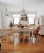 Industrial Country Metal pendant Light Pendant light
