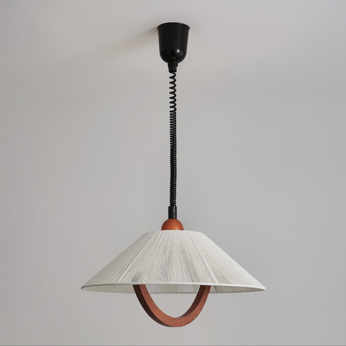 Nimbus Arc Pendant Light